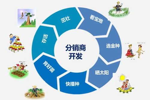 做分销商要注意什么?