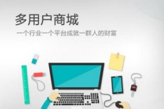 b2b2c商城系统维护费怎么确定?