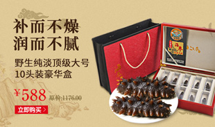 燕参王
